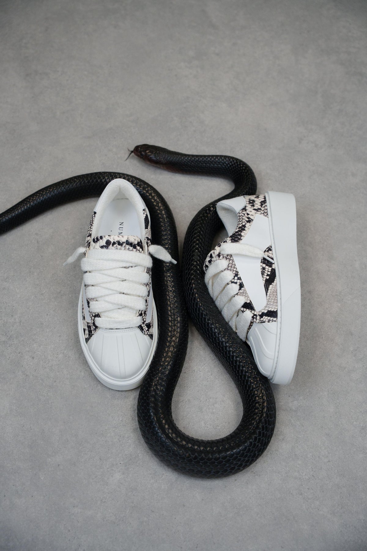 Eclipse - Python White